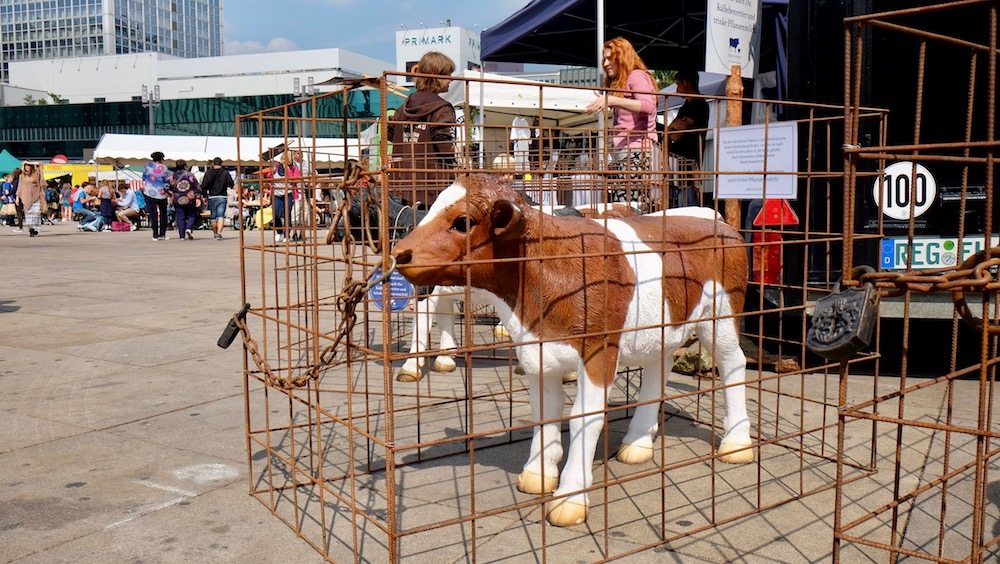 Kuh im Käfig auf dem veganen Sommerfest 2017 in Berlin